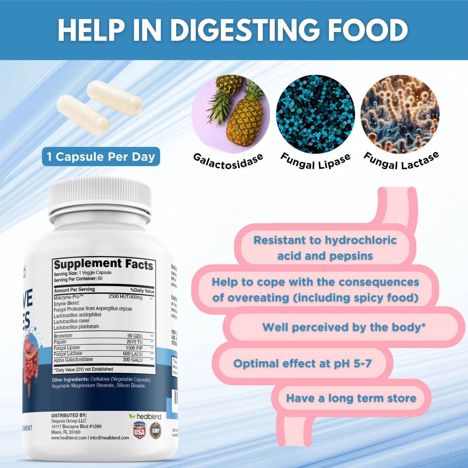 Digestive Health Enzyme Blend - Healblend
