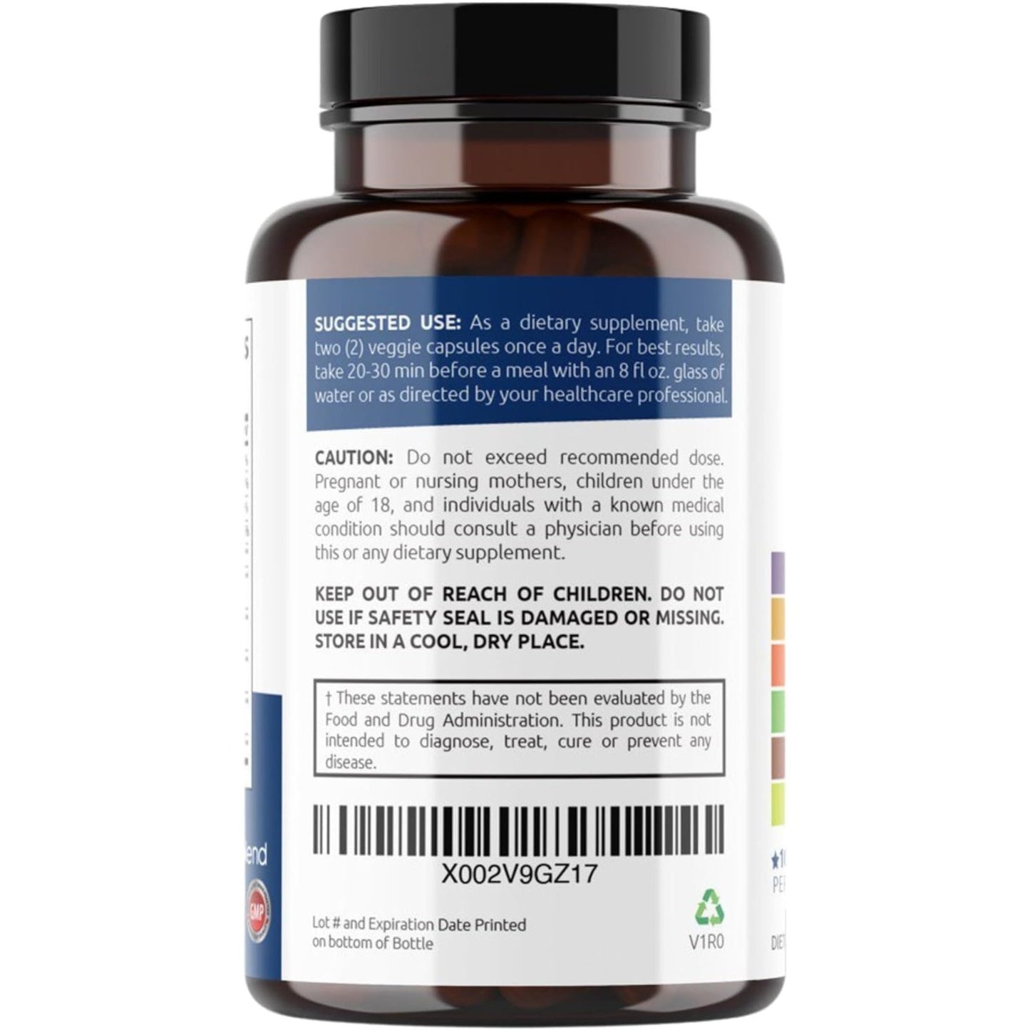 Immune Support Capsules Elderberry - Healblend