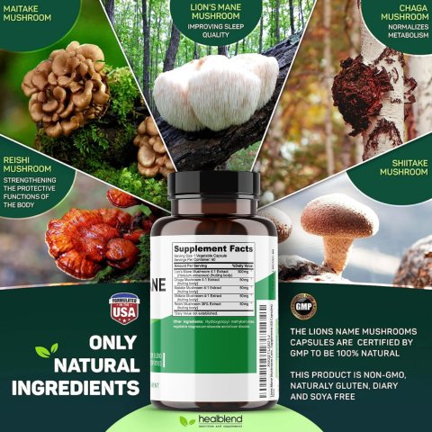 Lion's Mane Mushroom Complex - Healblend