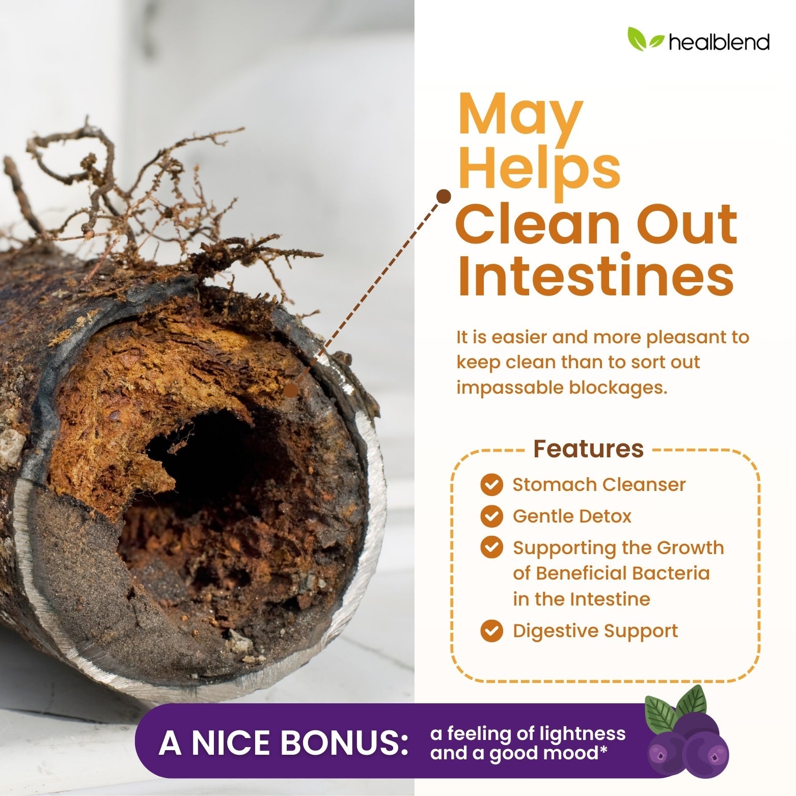 Max Detox Supplement - Healblend