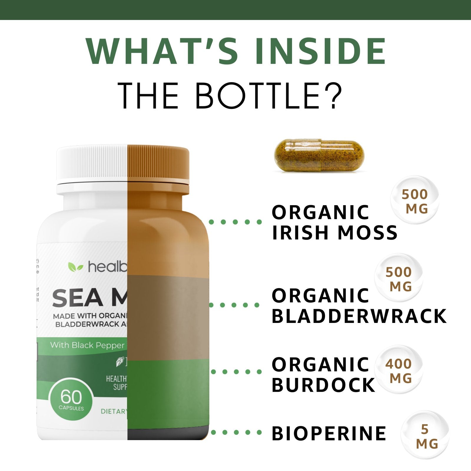 Organic Sea Moss Complex - Healblend