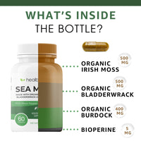 Organic Sea Moss Complex - Healblend