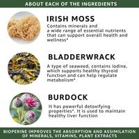 Organic Sea Moss Complex - Healblend