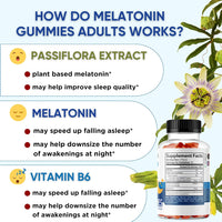 Sleep Well Gummies with Melatonin 2mg - Healblend