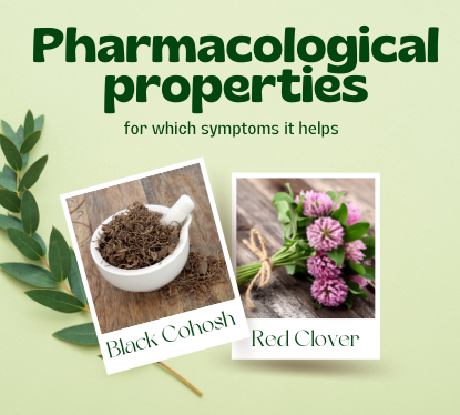 Black Cohosh and Red Clover - pharmacological properties, for which symptoms it helps, how it works
