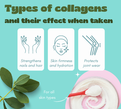Types of collagens and their effect when taken