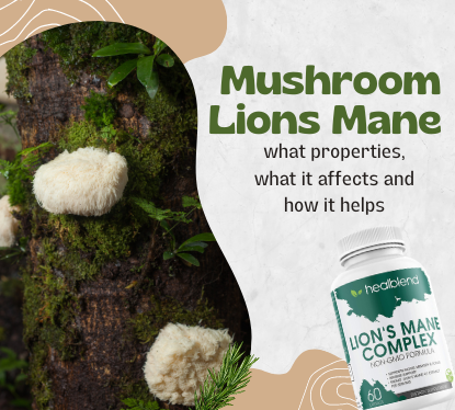 Mushroom Lions Mane - what properties, what it affects and how it helps