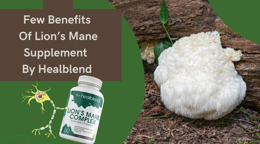 Few Benefits Of Lion’s Mane Supplement By Healblend - Healblend