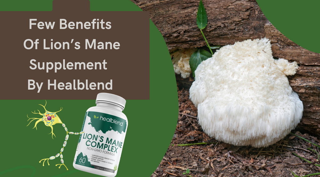 Few Benefits Of Lion’s Mane Supplement By Healblend