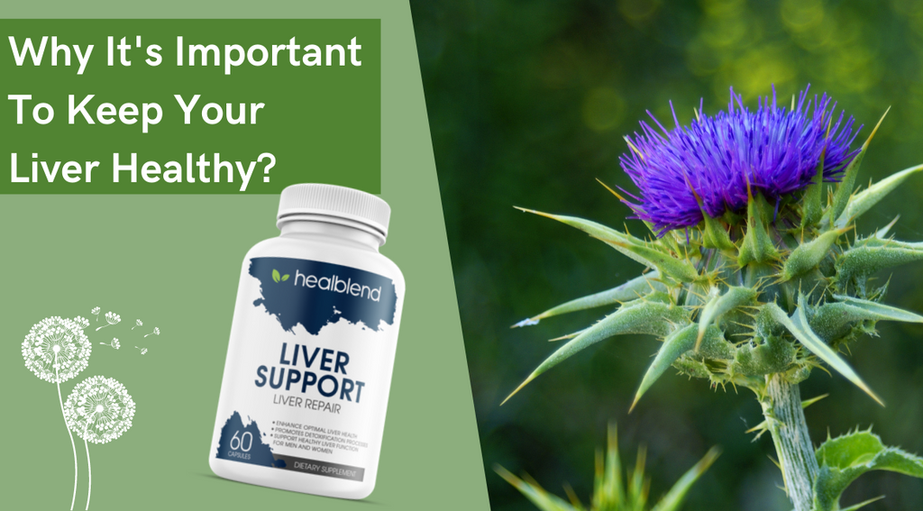 Liver Detox - Why It's Important To Keep Your Liver Healthy?