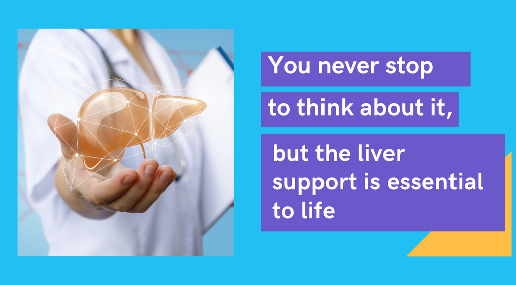 You never stop to think about it, but the liver support is essential to life