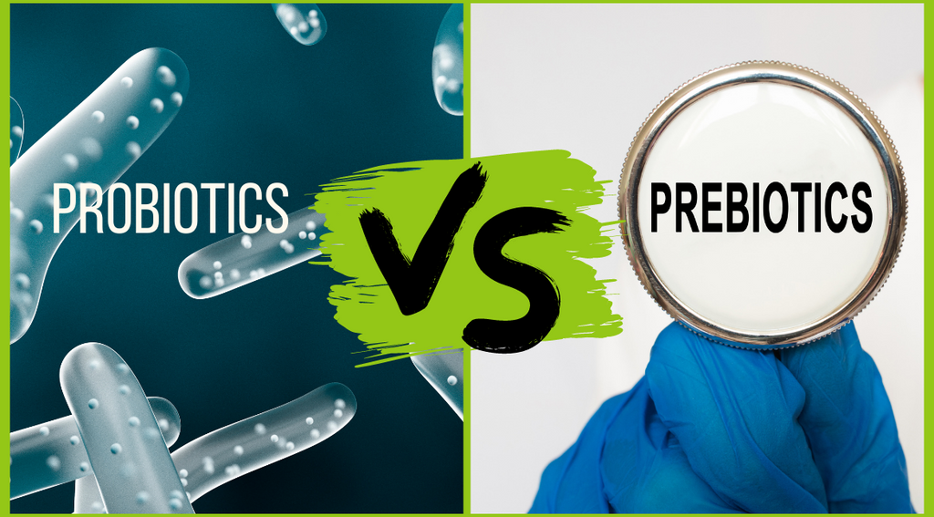 Probiotic versus Prebiotic what is the difference? Solution Comes With Healblend