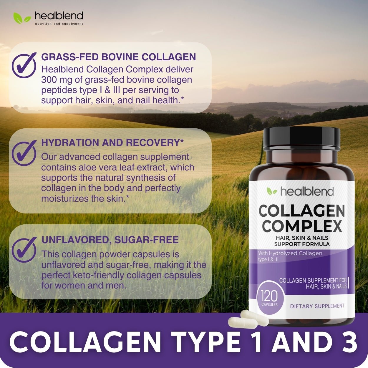 Collagen Complex - 3000 mg. Type I & III - Healblend