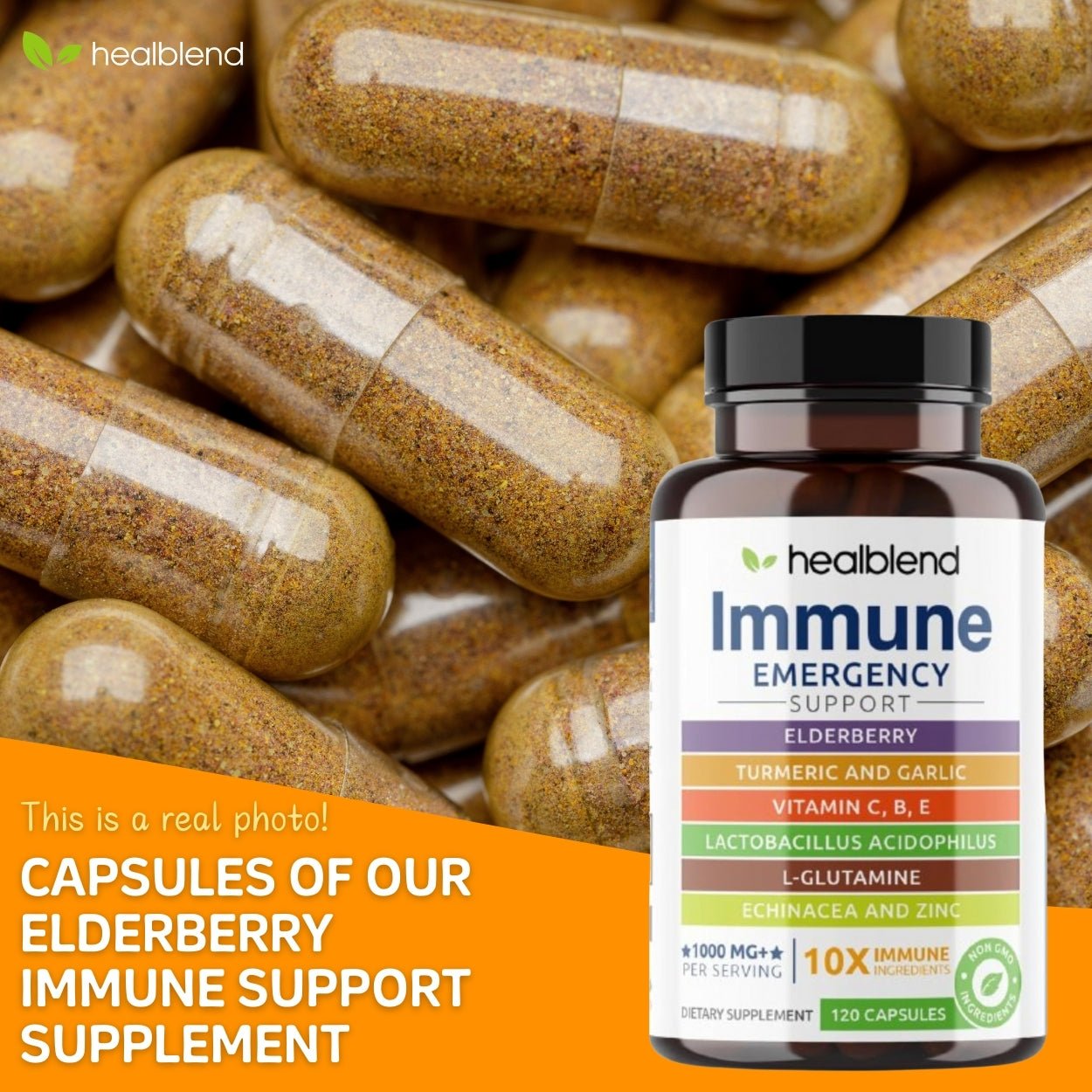 Immune Support Capsules Elderberry - Healblend