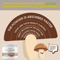 Mushroom Plus Powder 2000mg - 10 Organic Mushrooms for Brain, Immune & Stress Support with Reishi, Cordyceps, Turkey Tail - 60-Day Supply