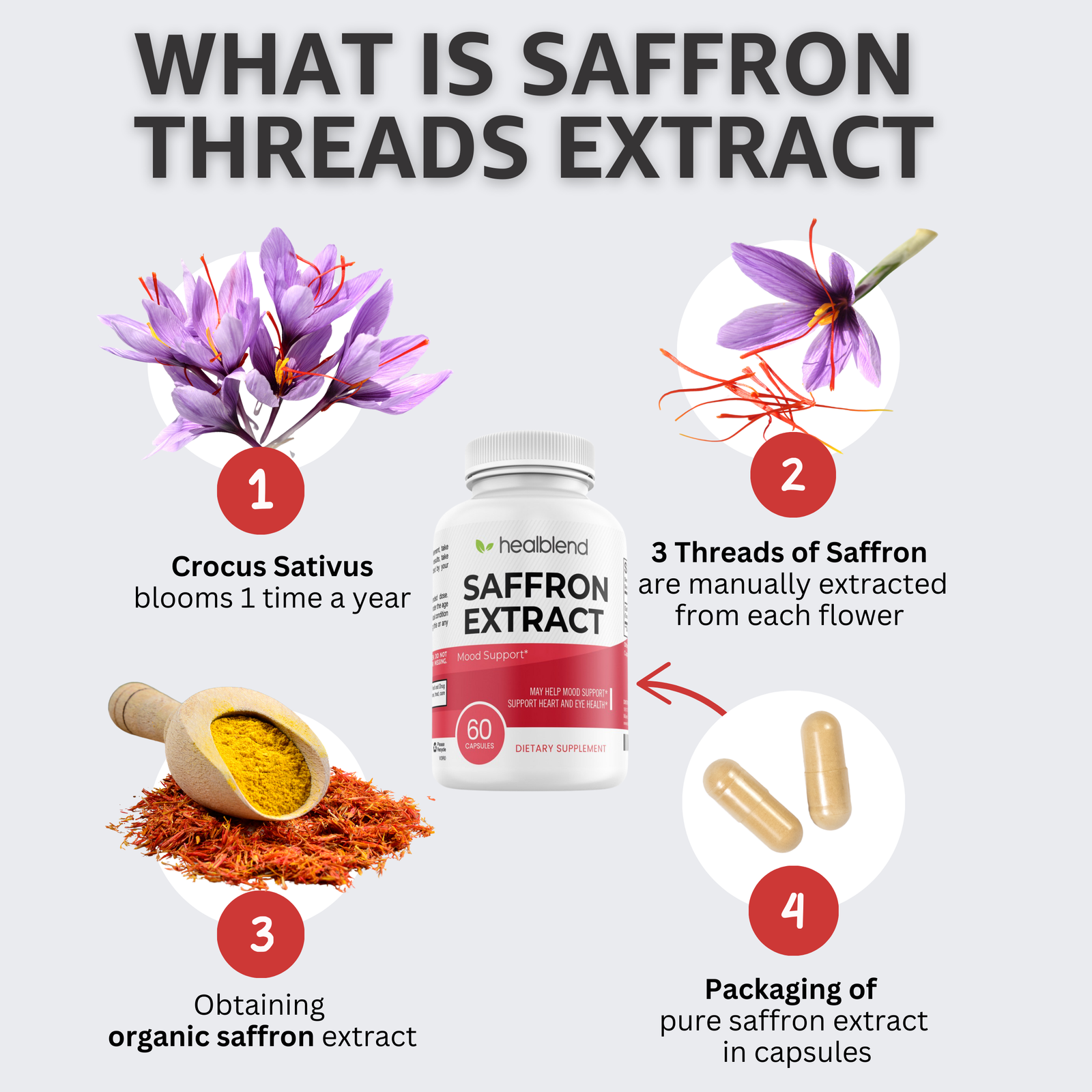 Brain Booster & Saffron Extract - Healblend - #tag4#