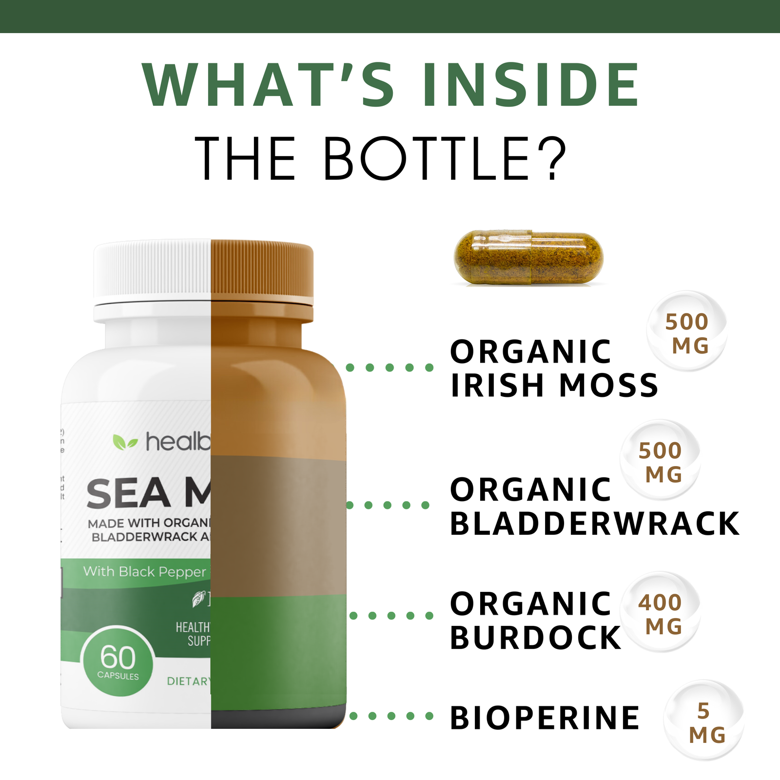 Brain Booster & Sea Moss - Healblend - #tag4#