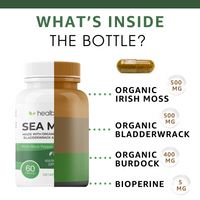 Brain Booster & Sea Moss - Healblend - #tag4#