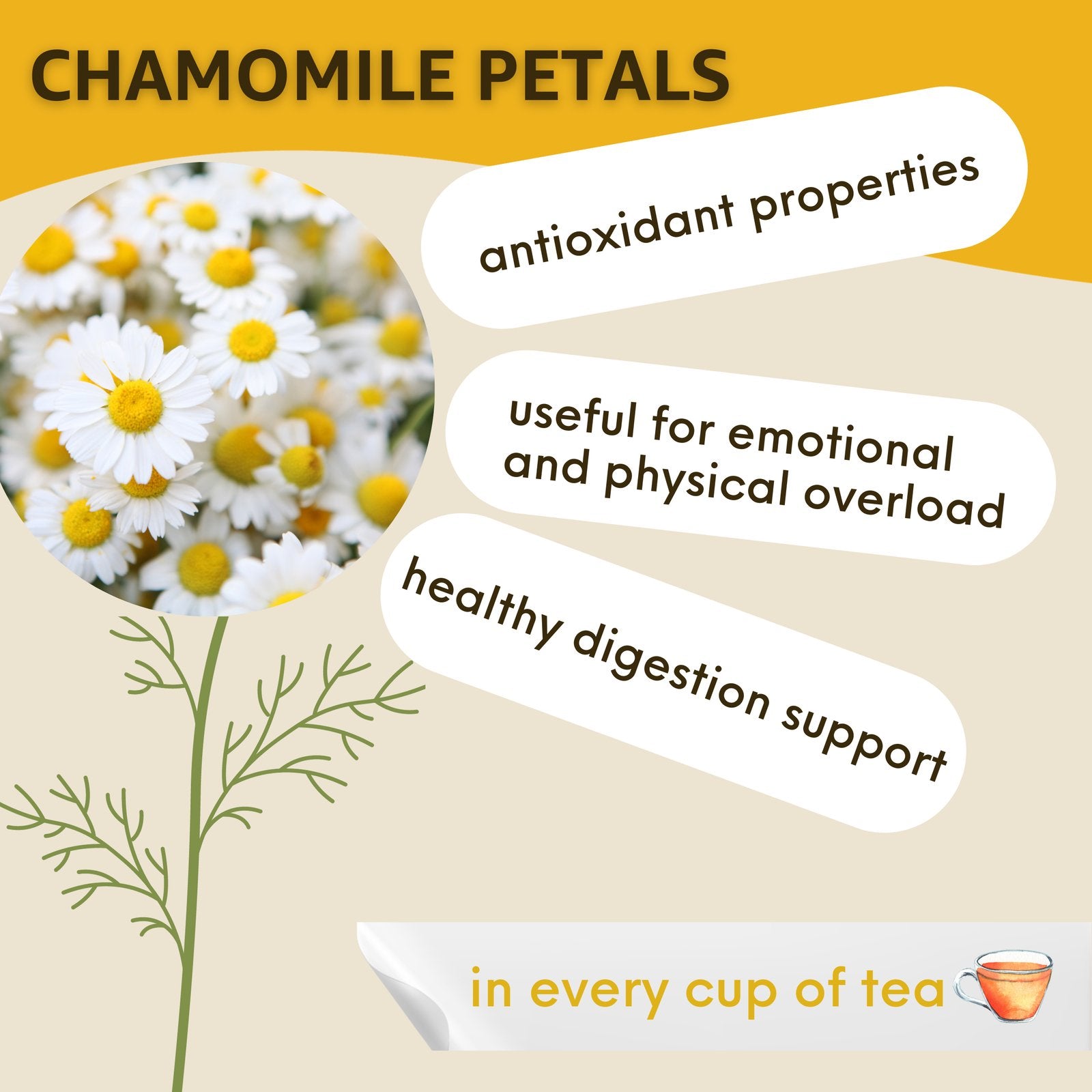 Camomile & Lemongrass Herbal Tea - Healblend