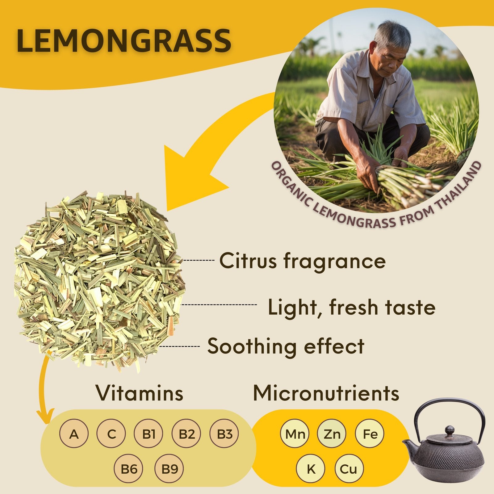 Camomile & Lemongrass Herbal Tea - Healblend