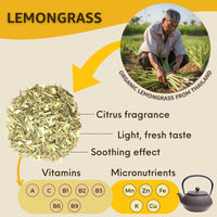 Camomile & Lemongrass Herbal Tea - Healblend