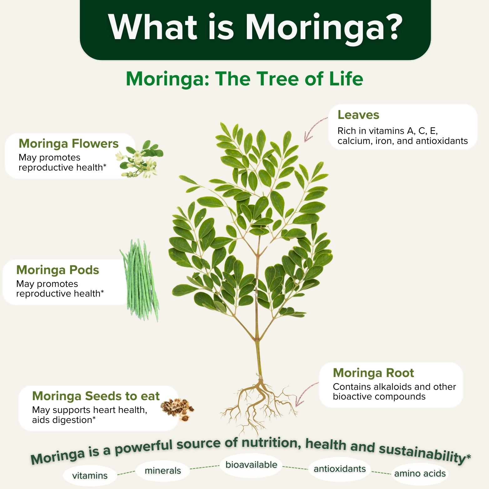 Moringa Oleifera Leaf Powder Capsules - Healblend