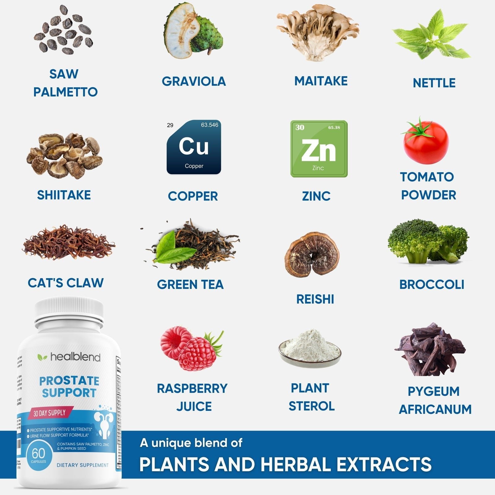 Prostate Formula - Healblend