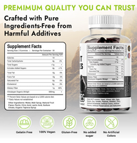 Organic Himalayan Shilajit Gummies 600mg - Optimal Health, Energy & Immunity Support for Men & Women, Natural Fruit Flavor - 60 Gummy